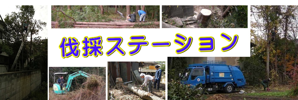多賀町の庭木伐採、立木枝落し、草刈りを承ります。